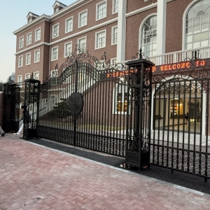 Home Villa Wrought Iron Garden Gates 