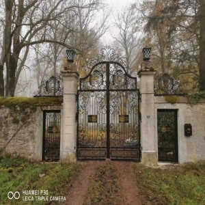 Villa Wrought Iron Gates Design For Sale