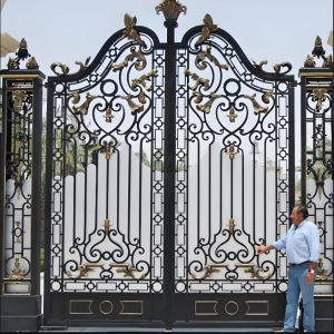 Solid Wrought Iron Modern Classic Luxury Double Swing Driveway Gate 